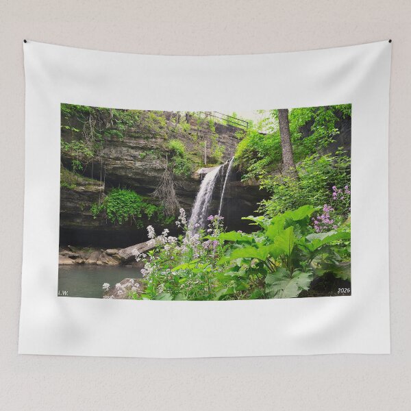 Item preview, Cataratas Homewood Cataratas Buttermilk Beaver Pensilvania 2 designed and sold by LisaWootenPhoto.