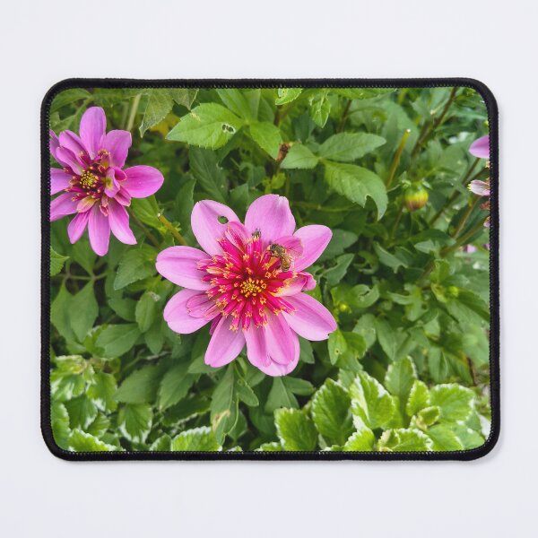 Item preview, Nature is Buzzing designed and sold by AnxiousFairy.