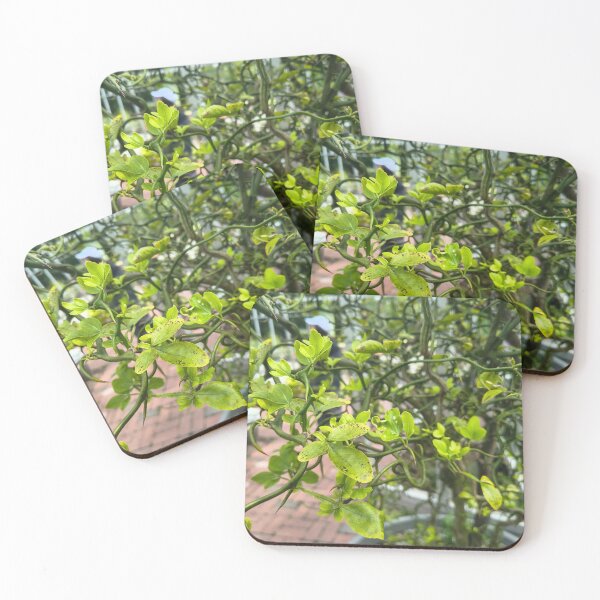 Item preview, The Creeping Vine designed and sold by AnxiousFairy.