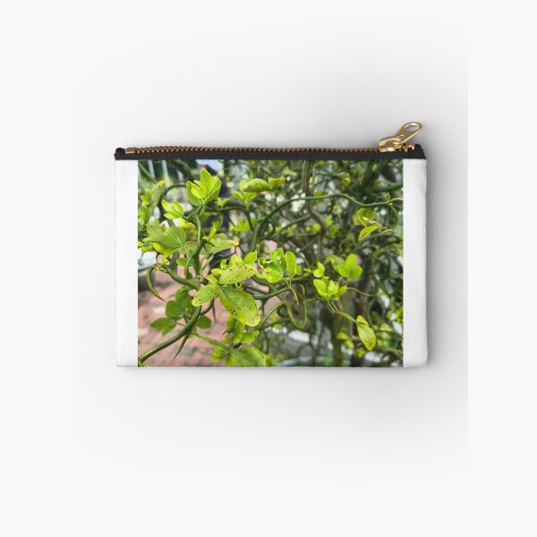 Item preview, The Creeping Vine designed and sold by AnxiousFairy.