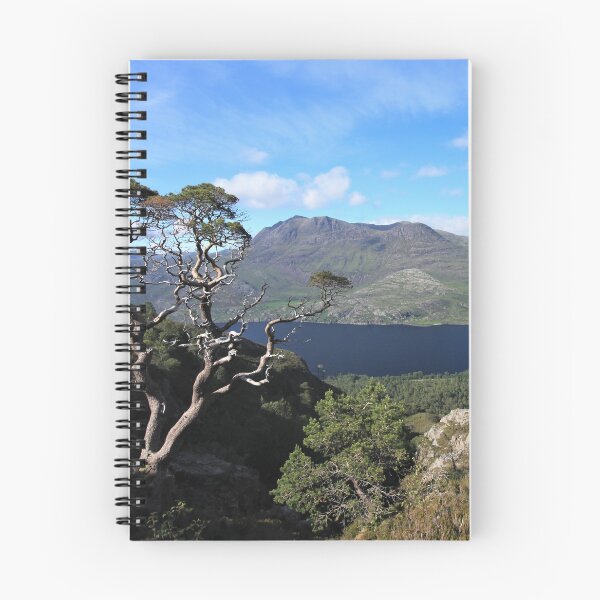 Item preview, Mighty Slioch, Loch Maree and the old Scots Pine designed and sold by beavo.