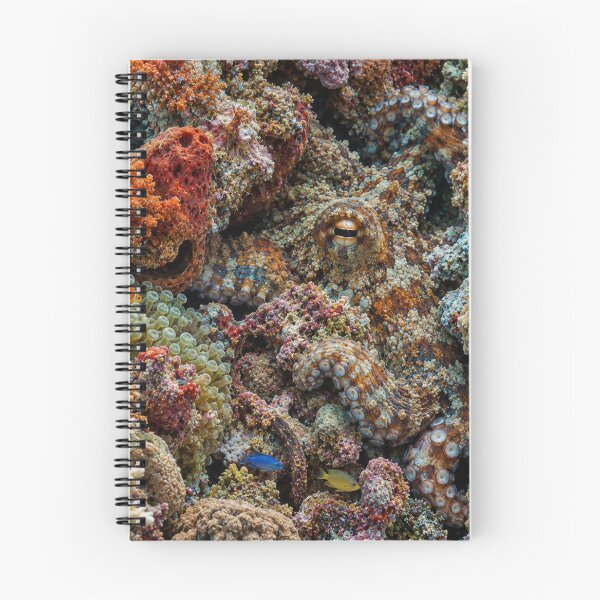 Item preview, Camouflaged Octopus – Hidden Coral Reef designed and sold by GSizzle1.