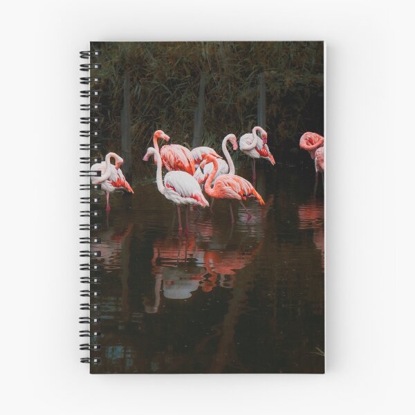 Item preview, Symphony in Pink: Flamingos in the Pond designed and sold by Tammigrafie.