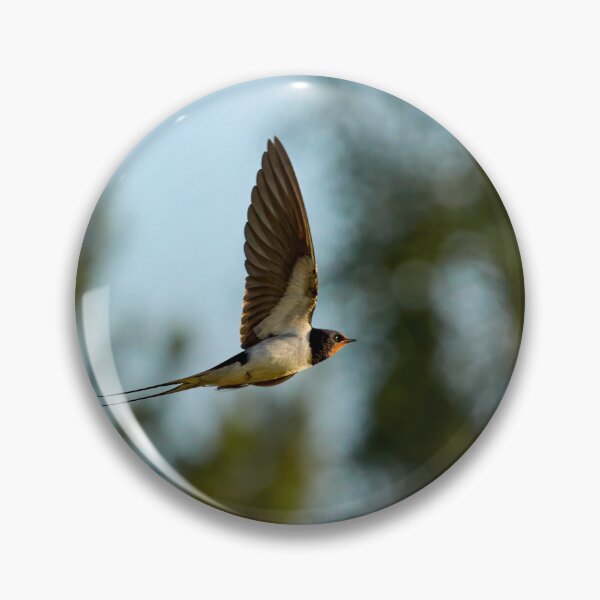Item preview, On the forest side. Barn swallow designed and sold by Jouko Lehto Photography.