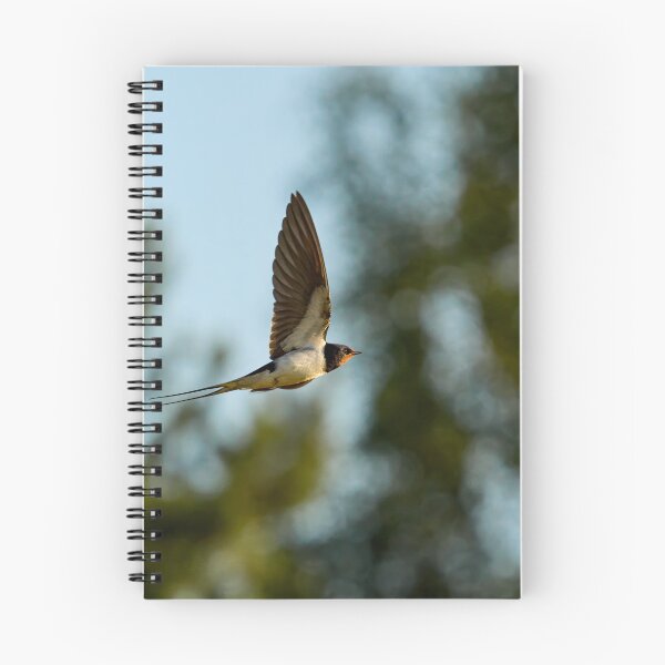 Item preview, On the forest side. Barn swallow designed and sold by Jouko Lehto Photography.