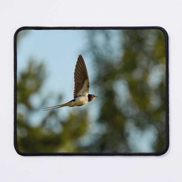 Item preview, On the forest side. Barn swallow designed and sold by Jouko Lehto Photography.
