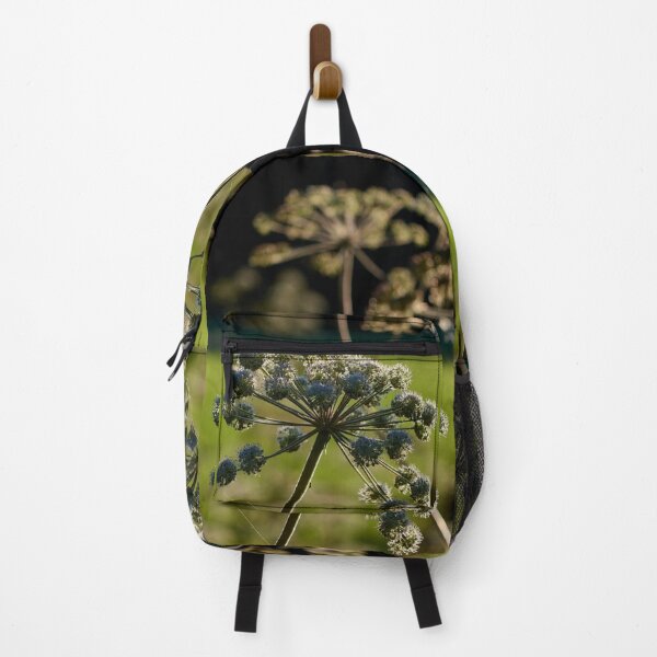 Item preview, Wild Angelica in backlight designed and sold by Jouko Lehto Photography.