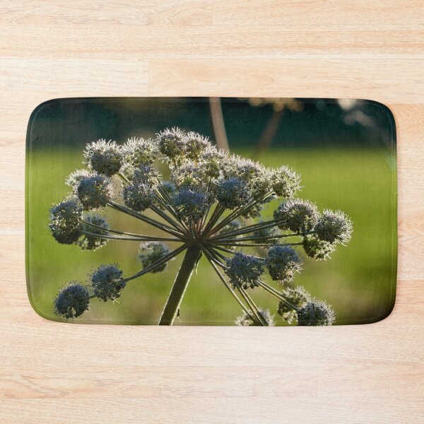 Item preview, Wild Angelica in backlight designed and sold by Jouko Lehto Photography.