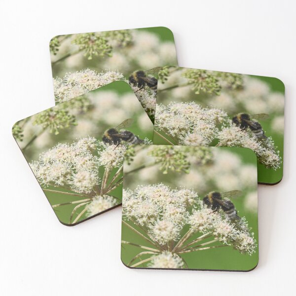 Item preview, Bohemian. Gypsy Cuckoo Bee designed and sold by Jouko Lehto Photography.