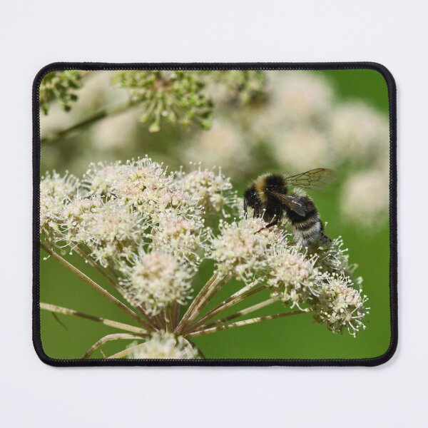 Item preview, Bohemian. Gypsy Cuckoo Bee designed and sold by Jouko Lehto Photography.