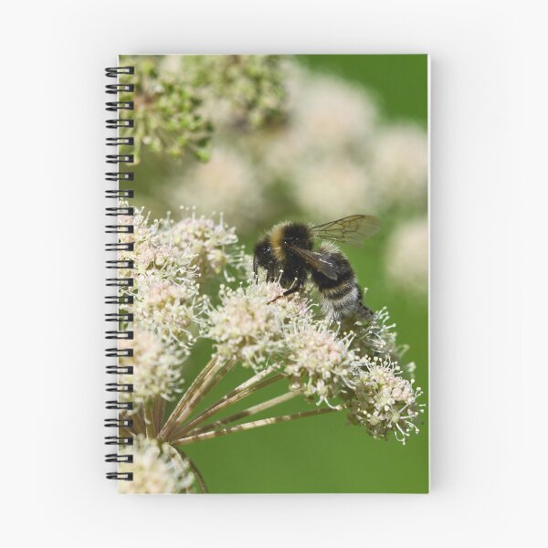 Item preview, Bohemian. Gypsy Cuckoo Bee designed and sold by Jouko Lehto Photography.