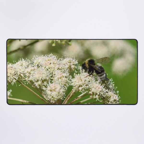 Item preview, Bohemian. Gypsy Cuckoo Bee designed and sold by Jouko Lehto Photography.