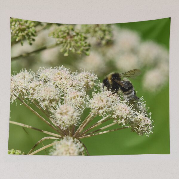 Item preview, Bohemian. Gypsy Cuckoo Bee designed and sold by Jouko Lehto Photography.