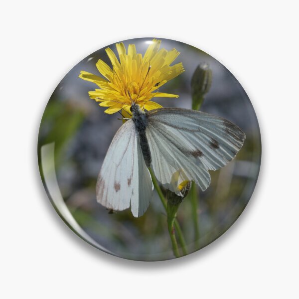 Item preview, Hard life of Green-veined White designed and sold by Jouko Lehto Photography.