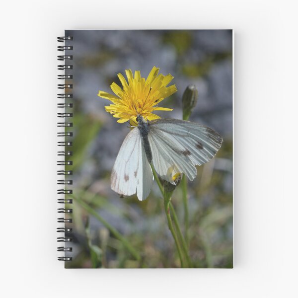 Item preview, Hard life of Green-veined White designed and sold by Jouko Lehto Photography.