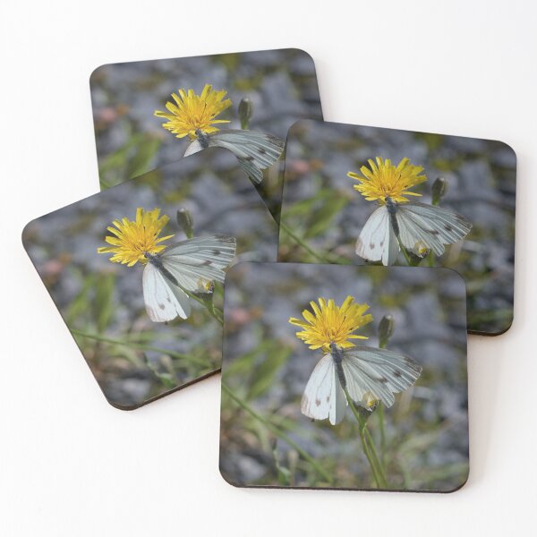 Item preview, Hard life of Green-veined White designed and sold by Jouko Lehto Photography.