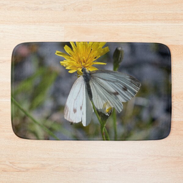 Item preview, Hard life of Green-veined White designed and sold by Jouko Lehto Photography.