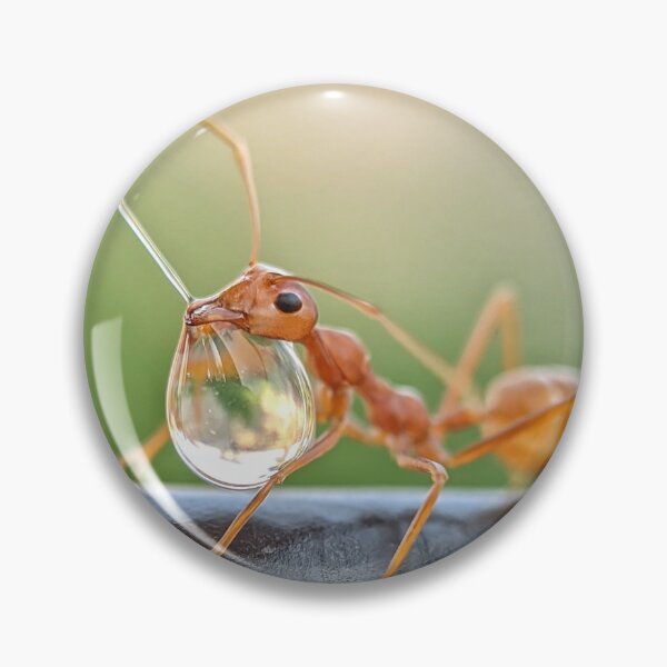 Item preview, Weaver ant behaviour  designed and sold by Saipixels.