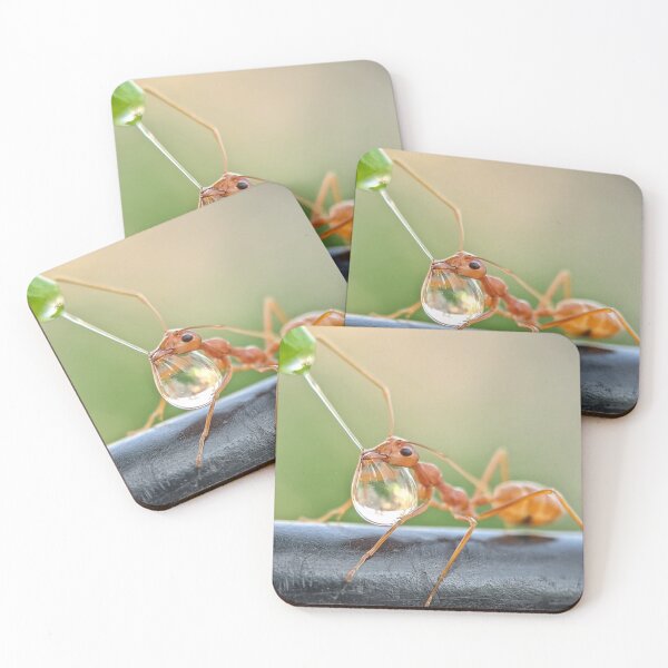 Item preview, Weaver ant behaviour  designed and sold by Saipixels.