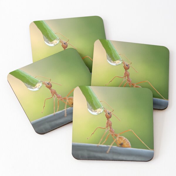Item preview, The Perfect Drop – Macro Ant designed and sold by Saipixels.
