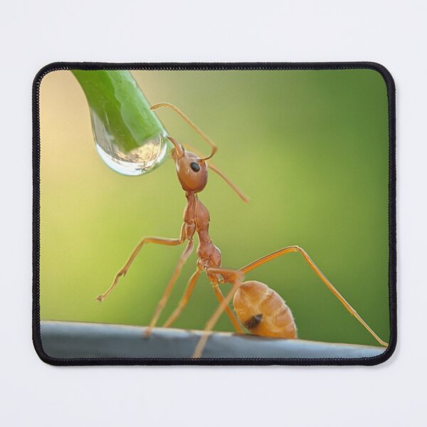 Item preview, The Perfect Drop – Macro Ant designed and sold by Saipixels.