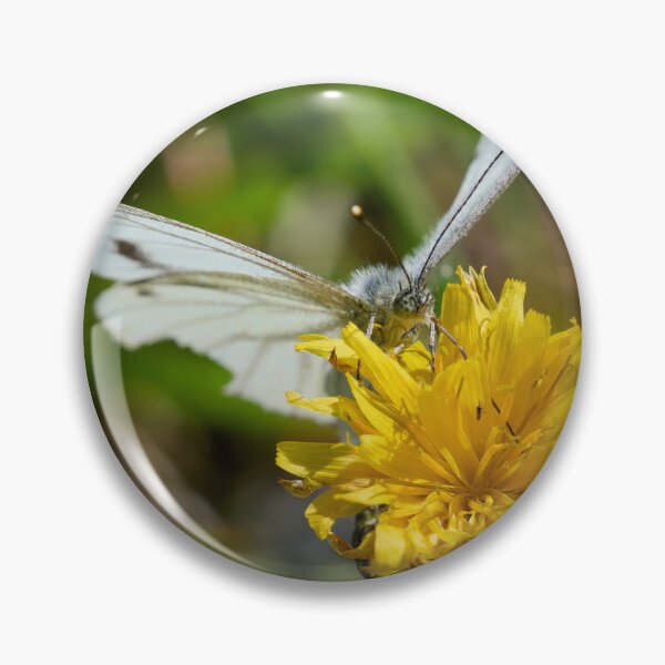 Item preview, Suck it. Green-veined White designed and sold by Jouko Lehto Photography.