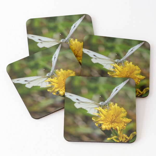 Item preview, Suck it. Green-veined White designed and sold by Jouko Lehto Photography.