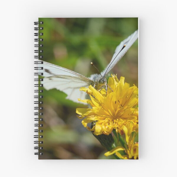 Item preview, Suck it. Green-veined White designed and sold by Jouko Lehto Photography.