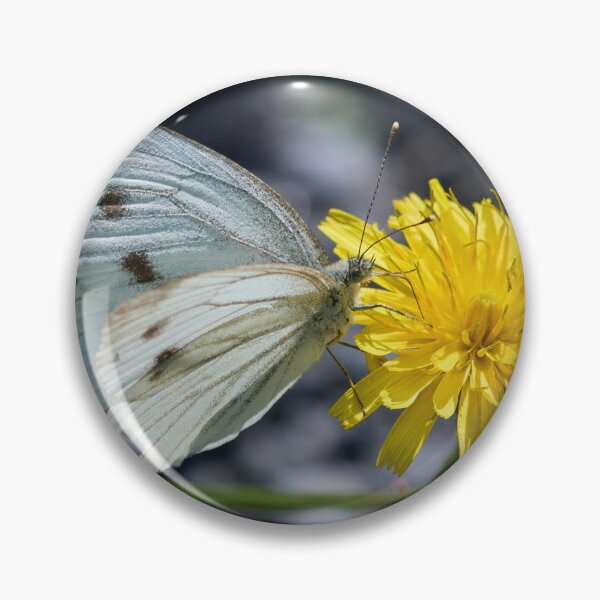 Item preview, Cool Green-veined White designed and sold by Jouko Lehto Photography.