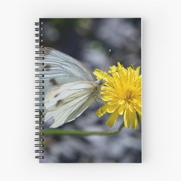 Item preview, Cool Green-veined White designed and sold by Jouko Lehto Photography.