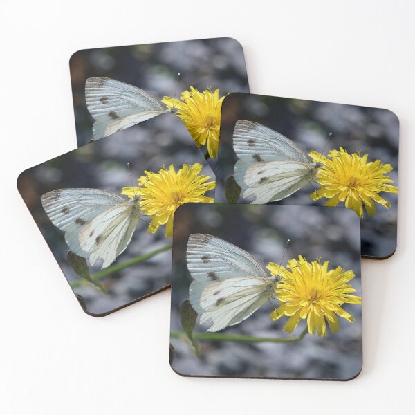 Item preview, Cool Green-veined White designed and sold by Jouko Lehto Photography.