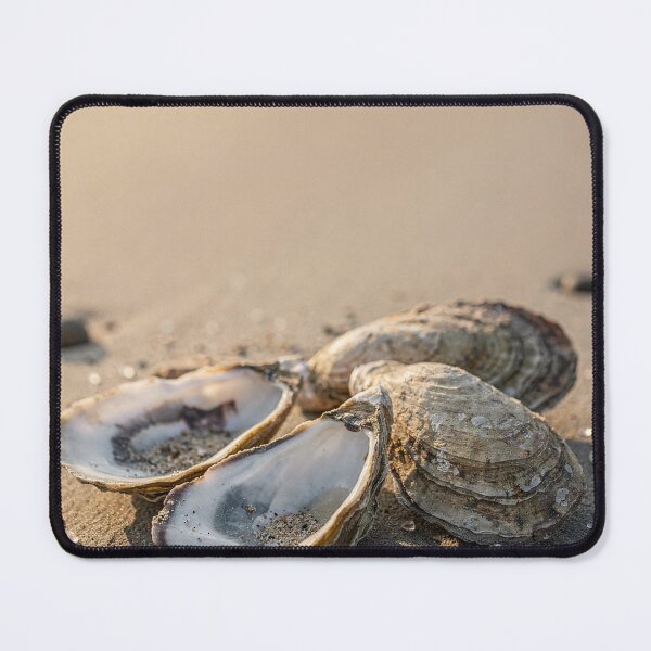 Item preview, Oyster Shells Coastal and Ocean Art Print designed and sold by Carnival Posters.