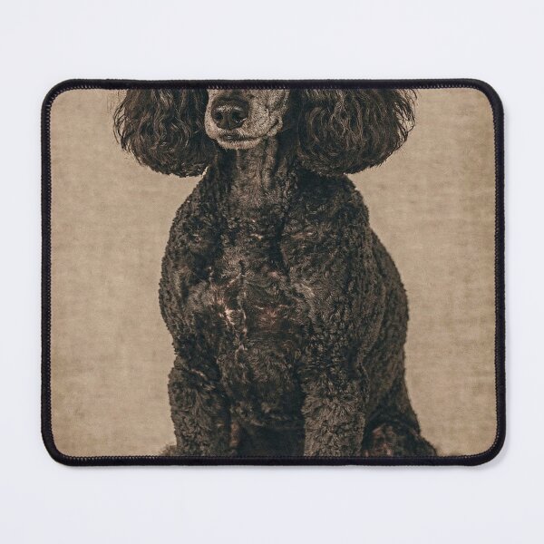Item preview, Poodle Dog Breed Specific Art Print designed and sold by Carnival Posters.