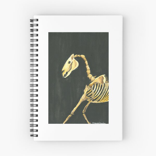 Item preview, Horse Skeleton designed and sold by Art by Ananiah.