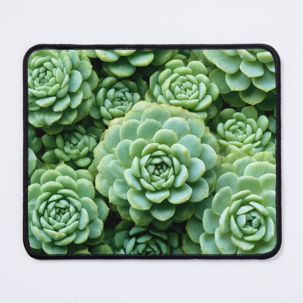 Item preview, Organic Worlds: Emerald Rosettes — Succulent Macro Landscape designed and sold by Atlas-of-Worlds.
