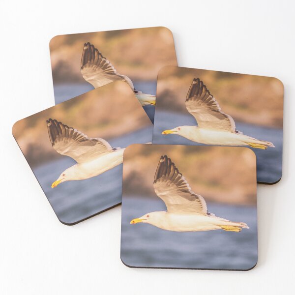 Item preview, Seagull designed and sold by Dany3l.