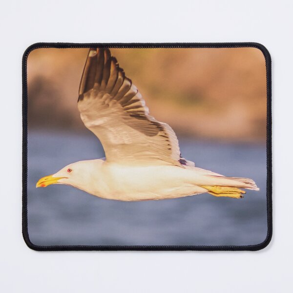 Item preview, Seagull designed and sold by Dany3l.