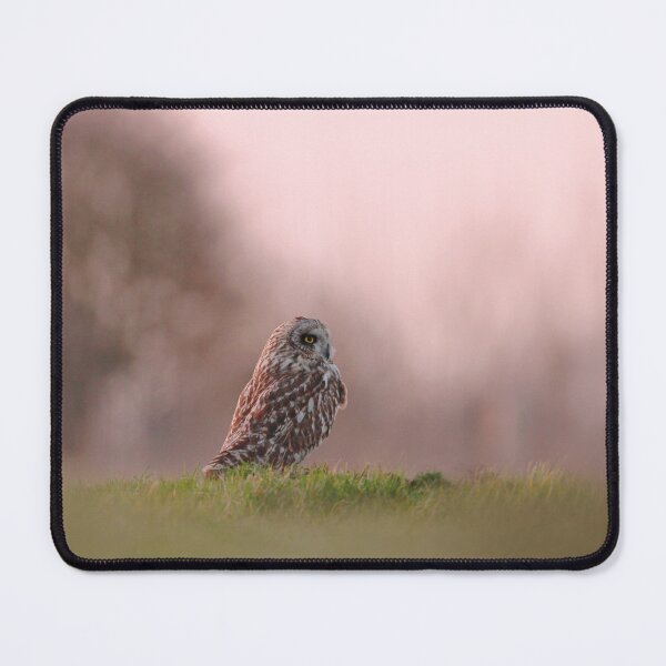 Item preview, Outstanding owl  designed and sold by miradorpictures.