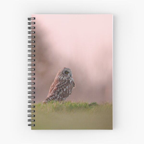 Item preview, Outstanding owl  designed and sold by miradorpictures.