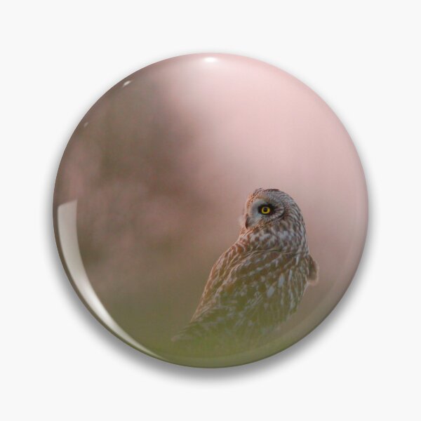 Item preview, Short eared owl on guard  designed and sold by miradorpictures.