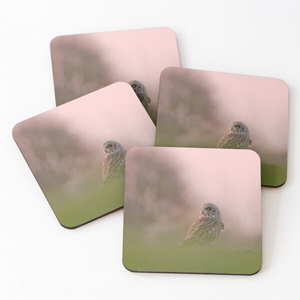 Item preview, Short eared owl on guard  designed and sold by miradorpictures.