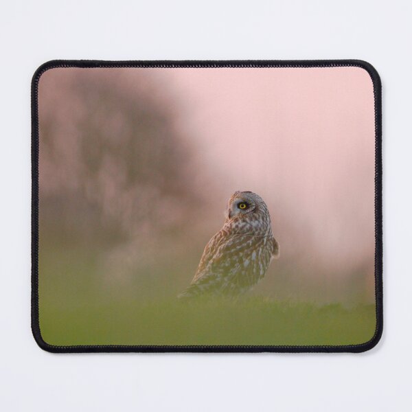 Item preview, Short eared owl on guard  designed and sold by miradorpictures.