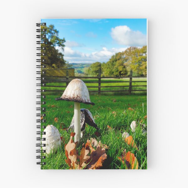 Item preview, Shaggy Ink Caps On An Autumn Day In Somerset designed and sold by Dorset Girl.