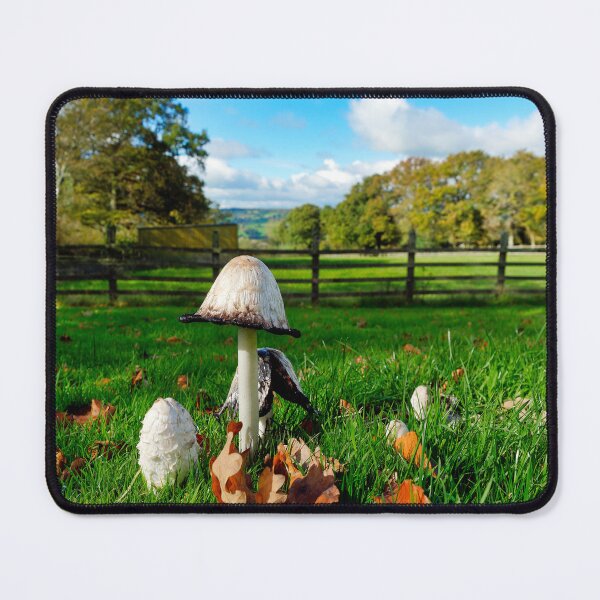 Item preview, Shaggy Ink Caps On An Autumn Day In Somerset designed and sold by Dorset Girl.