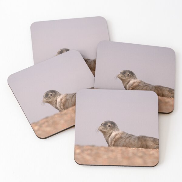 Item preview, Seal side eye  designed and sold by miradorpictures.