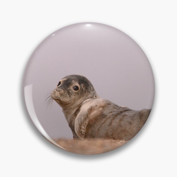 Item preview, Seal side eye  designed and sold by miradorpictures.
