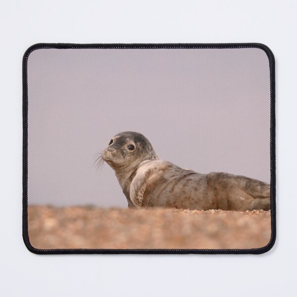 Item preview, Seal side eye  designed and sold by miradorpictures.