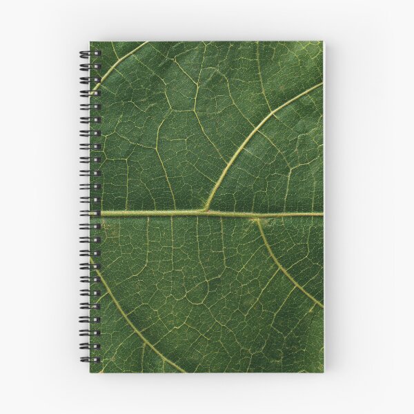 Item preview, Organic Worlds: Emerald Veins — Leaf Macro Texture designed and sold by Atlas-of-Worlds.