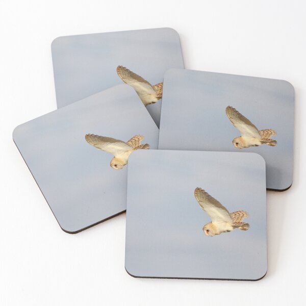 Item preview, Barn owl on the hunt designed and sold by miradorpictures.