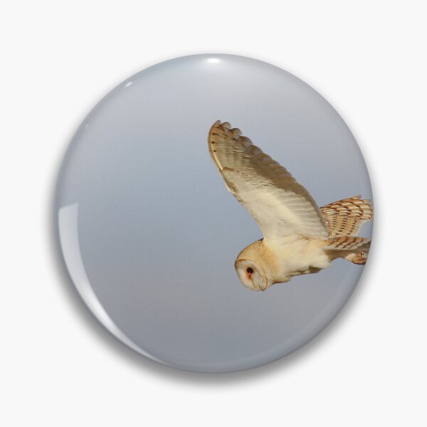 Item preview, Barn owl on the hunt designed and sold by miradorpictures.